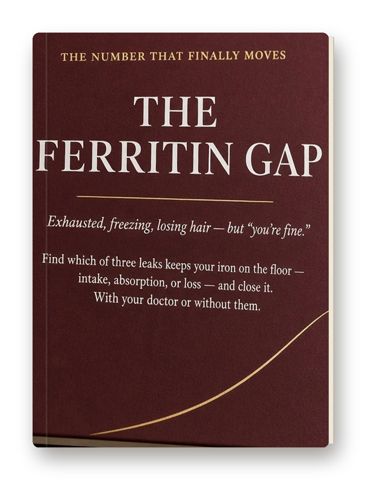 The Ferritin Gap cover